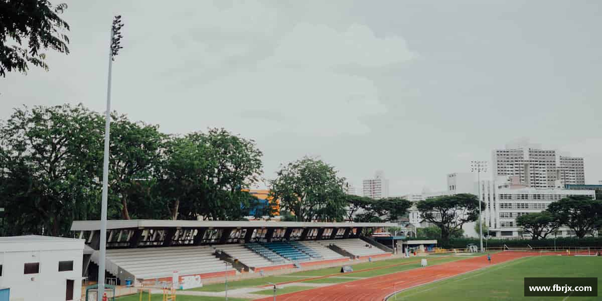 解读bsports必一运动